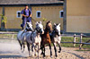 Horsemen, Spain