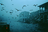 Venice in the Evening